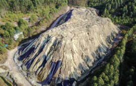 1647930886430055909.png image.png