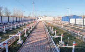 1647933698744089940.png image.png